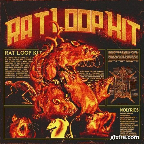 nolyrics RAT (Loop Kit and FLP) MULTiFORMAT