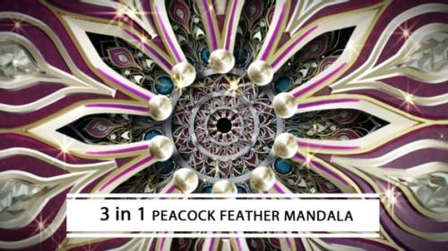 Videohive - Peacock Feather Mandala - 33094412 - 33094412