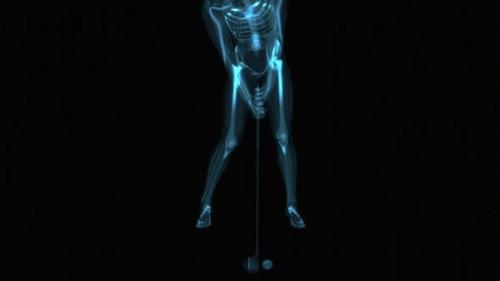 Videohive - 4K anatomy concept of a golf shot - 33095139 - 33095139