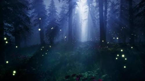 Videohive - Fireflies in a magical forest 4K - 33055373 - 33055373