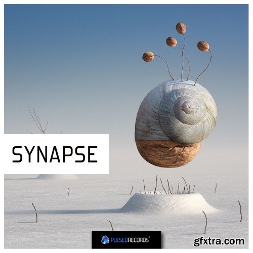 Pulsed Records Synapse WAV