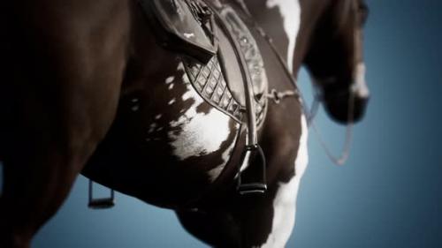 Videohive - Saddle with Stirrups on a Back of a Horse - 33152919 - 33152919