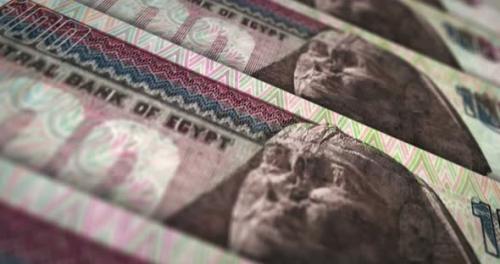 Videohive - Egyptian Pound money banknote surface loop - 33154691 - 33154691