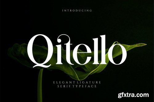 Qitello Ligature Serif Typeface