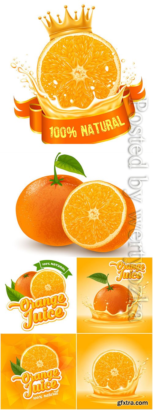 Orange and orange juice in vector