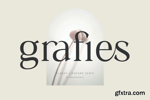 Grafies - Classy Ligature Serif