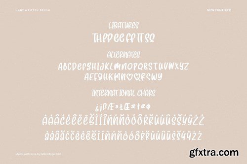 Squishy Brush Business Font