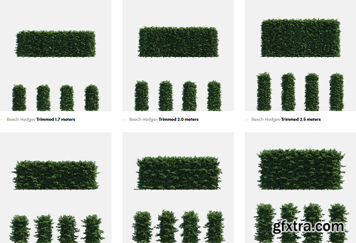 Polyget -  Beech Hedges 3D Models Collection