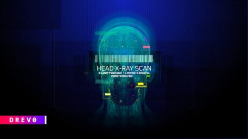 Videohive - Head X Ray Scan (8 in 1 footages) MRI/ SCULL/ Roentgen/ Face ID/ Medical HUD/ FUI/ Brain/ Muscles/ I - 33238988 - 33238988