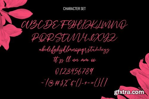 Soulsteps Signature Font