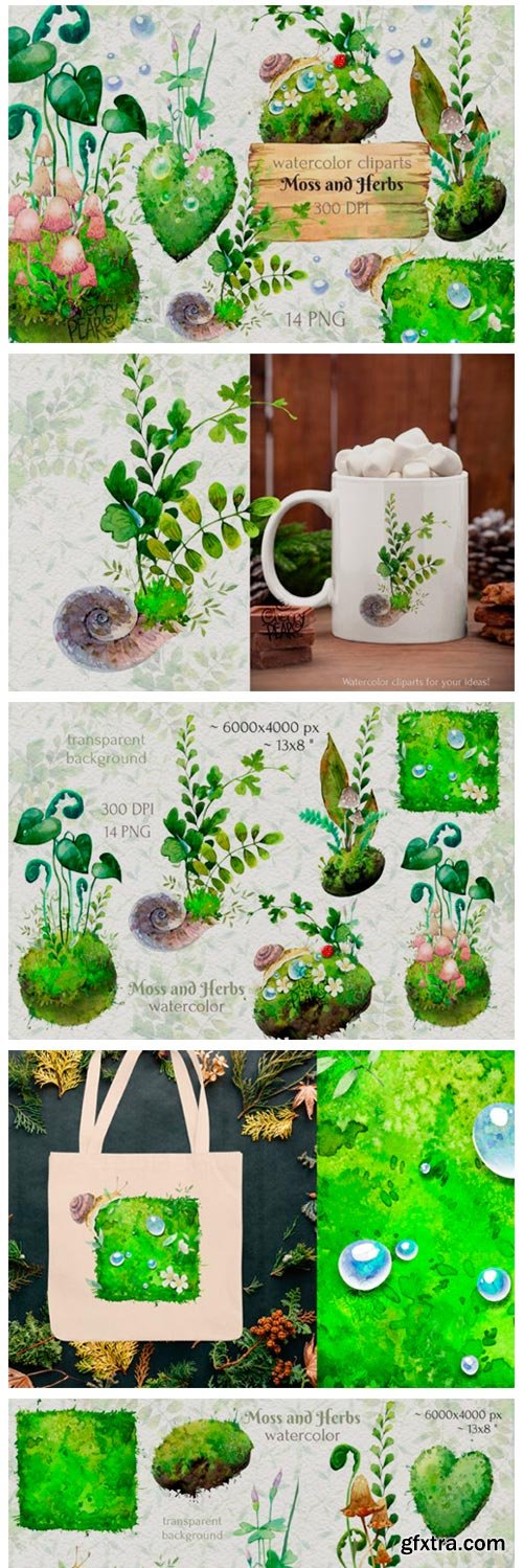 Watercolor Cliparts of Forest Moss, Herb 14972107