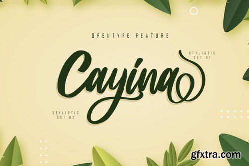 Vaglast - Modern Script Font