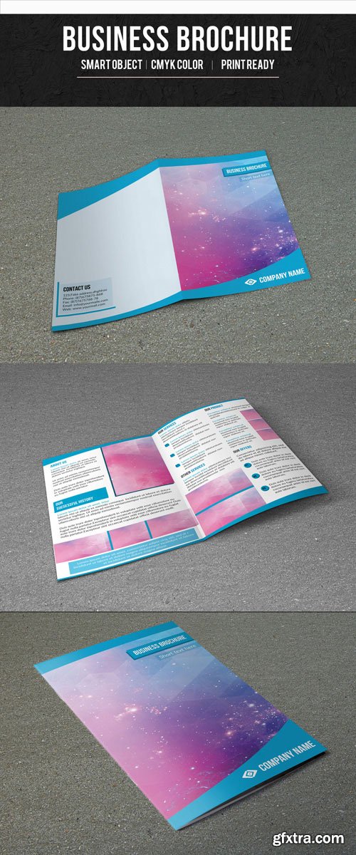 Single Fold Business Brochure with Blue Border Layout 1