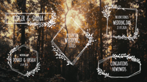 Videohive - Wedding Titles - 33221968 - 33221968