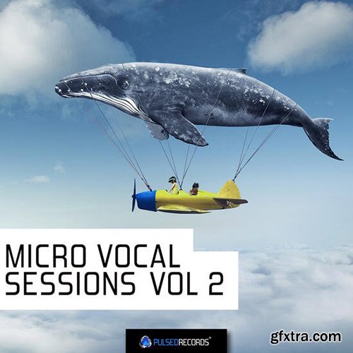 Pulsed Records Micro Vocal Sessions Vol 2 WAV MIDI