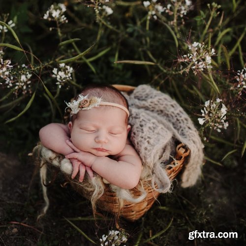 Twig & Olive Photography - Newborn Prop Shopping | Feature