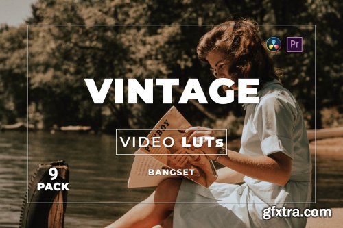 Bangset Vintage Pack 9 Video LUTs