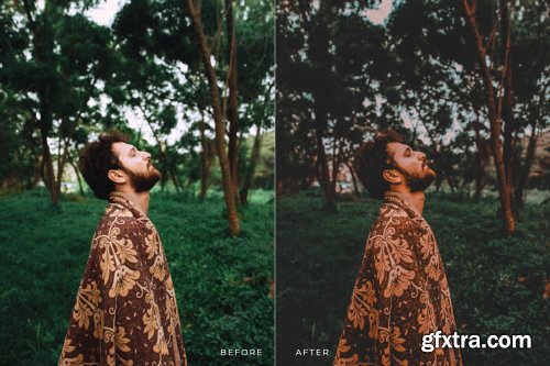  Karta Mobile and Desktop Lightroom Presets