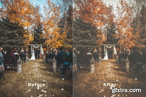 Bangset Vintage Pack 10 Video LUTs