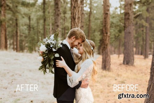 CreativeMarket - Pro Wedding Lightroom Presets 3108446