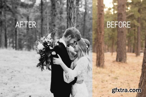 CreativeMarket - Pro Wedding Lightroom Presets 3108446