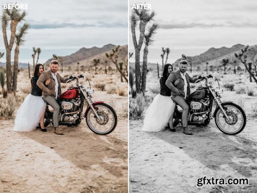 CreativeMarket - Wedding Lightroom Presets Bundle 6234156