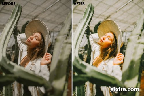 CreativeMarket - 8 Tropical Vibes Lightroom Presets 6233945