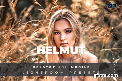 Helmut Desktop and Mobile Lightroom Preset