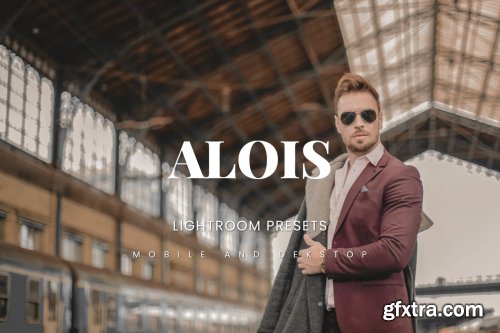 Alois Lightroom Presets Dekstop and Mobile