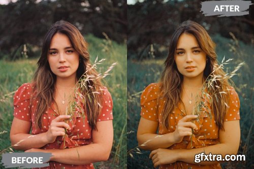 Clair Lightroom Presets Dekstop and Mobile