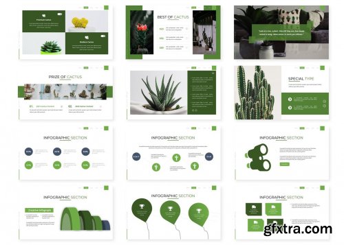 Cactus - Presentation Template