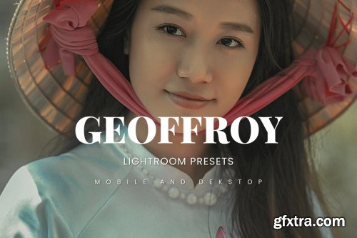 Geoffroy Lightroom Presets Dekstop and Mobile