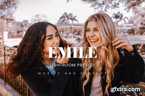 Emile Lightroom Presets Dekstop and Mobile