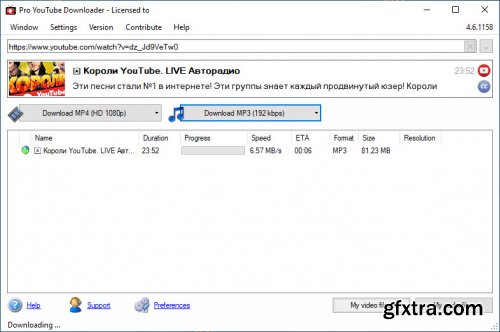 Pro Youtube Downloader 4.6.1158