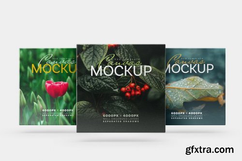 CreativeMarket - Canvas Mockup Set 6129375