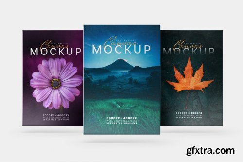 CreativeMarket - Canvas Mockup Set 6129375