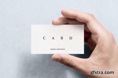 CreativeMarket - Business Card Mockup 6295290