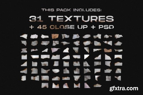 CreativeMarket - Torn and burned paper textures 6129557