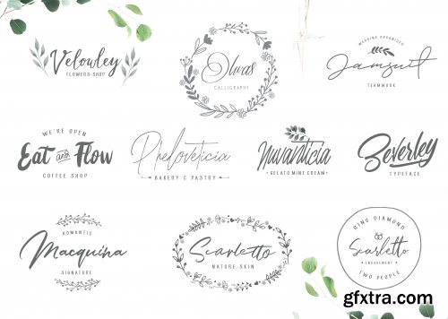 CreativeMarket - 10 Font Script Collection Bloom 2441351