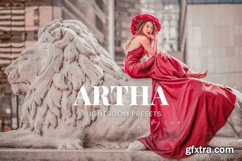 Artha Lightroom Presets Dekstop and Mobile