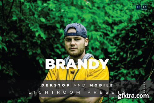 Brandy Desktop and Mobile Lightroom Preset