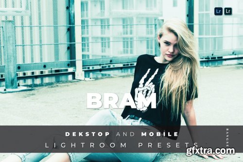 Bram Desktop and Mobile Lightroom Preset