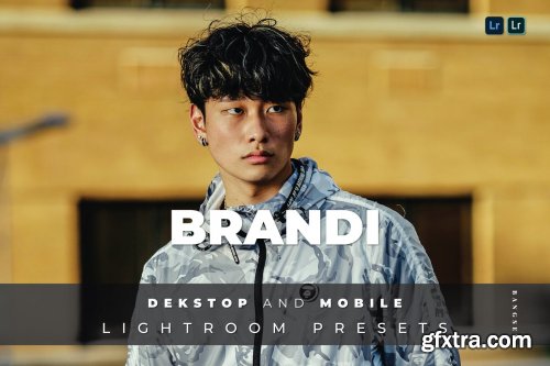 Brandi Desktop and Mobile Lightroom Preset