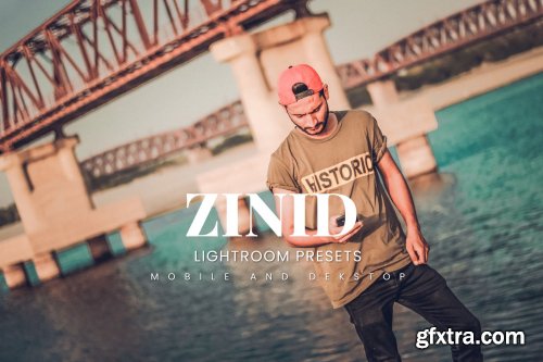 Zinid Lightroom Presets Dekstop and Mobile