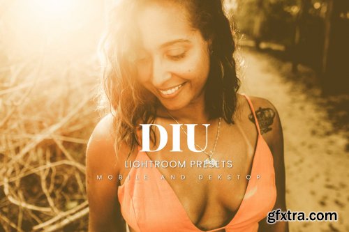 Diu Lightroom Presets Dekstop and Mobile