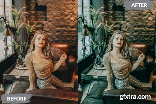 Bian Lightroom Presets Dekstop and Mobile