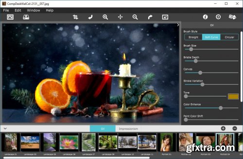 JixiPix PhotoArtista Oil 2.57