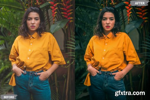 Shopi Lightroom Presets Dekstop and Mobile