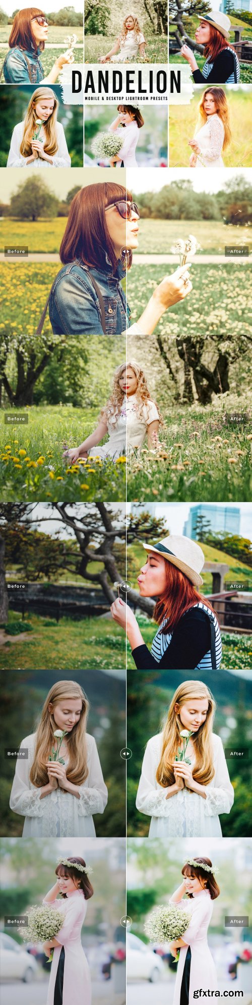 CreativeMarket - Dandelion Pro Lightroom Presets 6282798