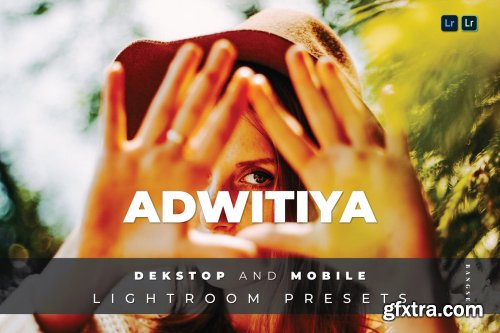 Adwitiya Desktop and Mobile Lightroom Preset